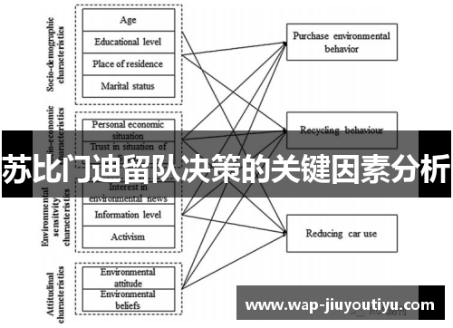 苏比门迪留队决策的关键因素分析