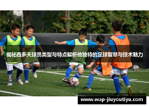 揭秘西多夫球员类型与特点解析他独特的足球智慧与技术魅力 揭秘西多夫球员类型与特点解析他独特的足球智慧与技术魅力